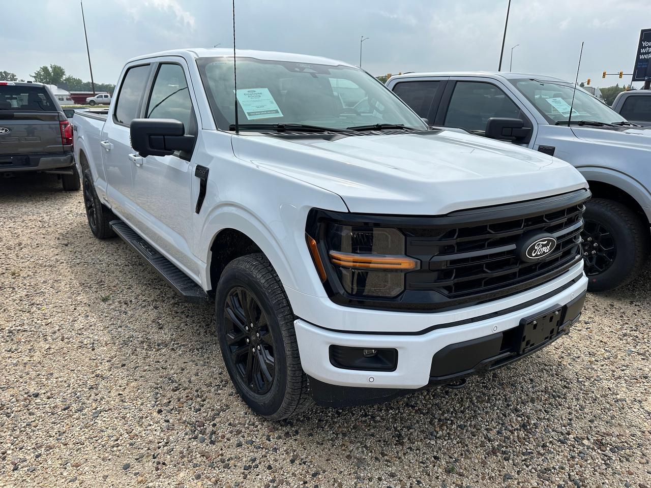 New 2025 Ford F-150 XLT 4WD SuperCrew 5.5' Box 302A for sale in Elie, MB