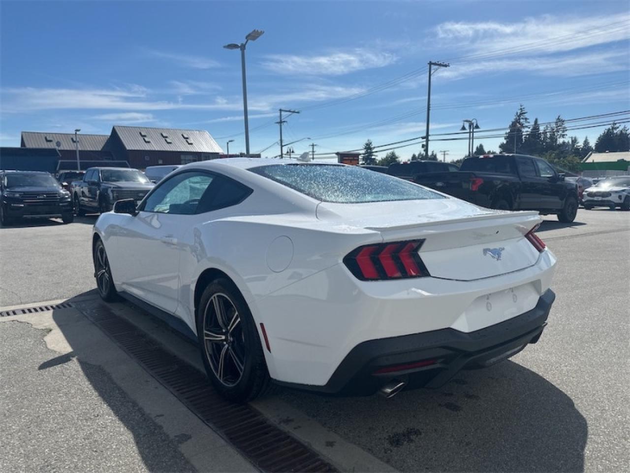 2025 Ford Mustang EcoBoost Premium  - Cooled Seats Photo2