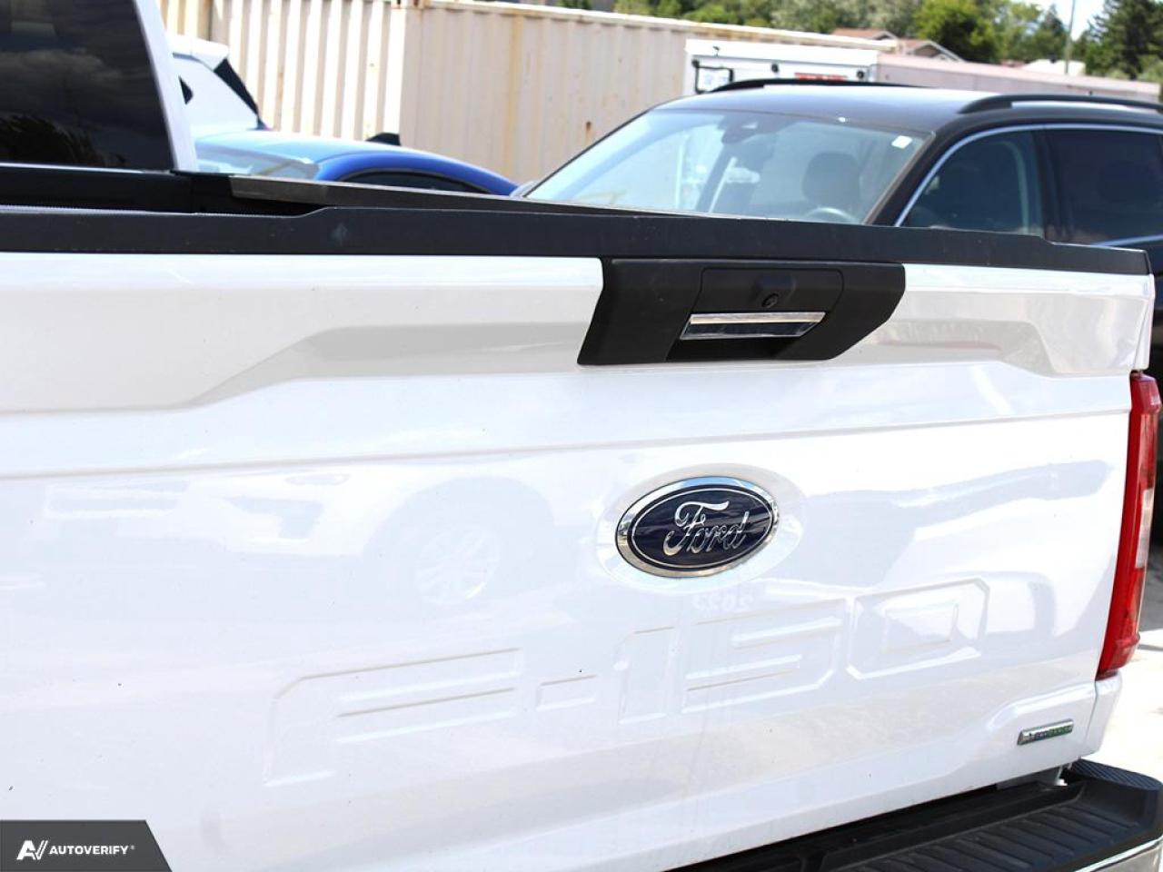 2022 Ford F-150 XLT Photo