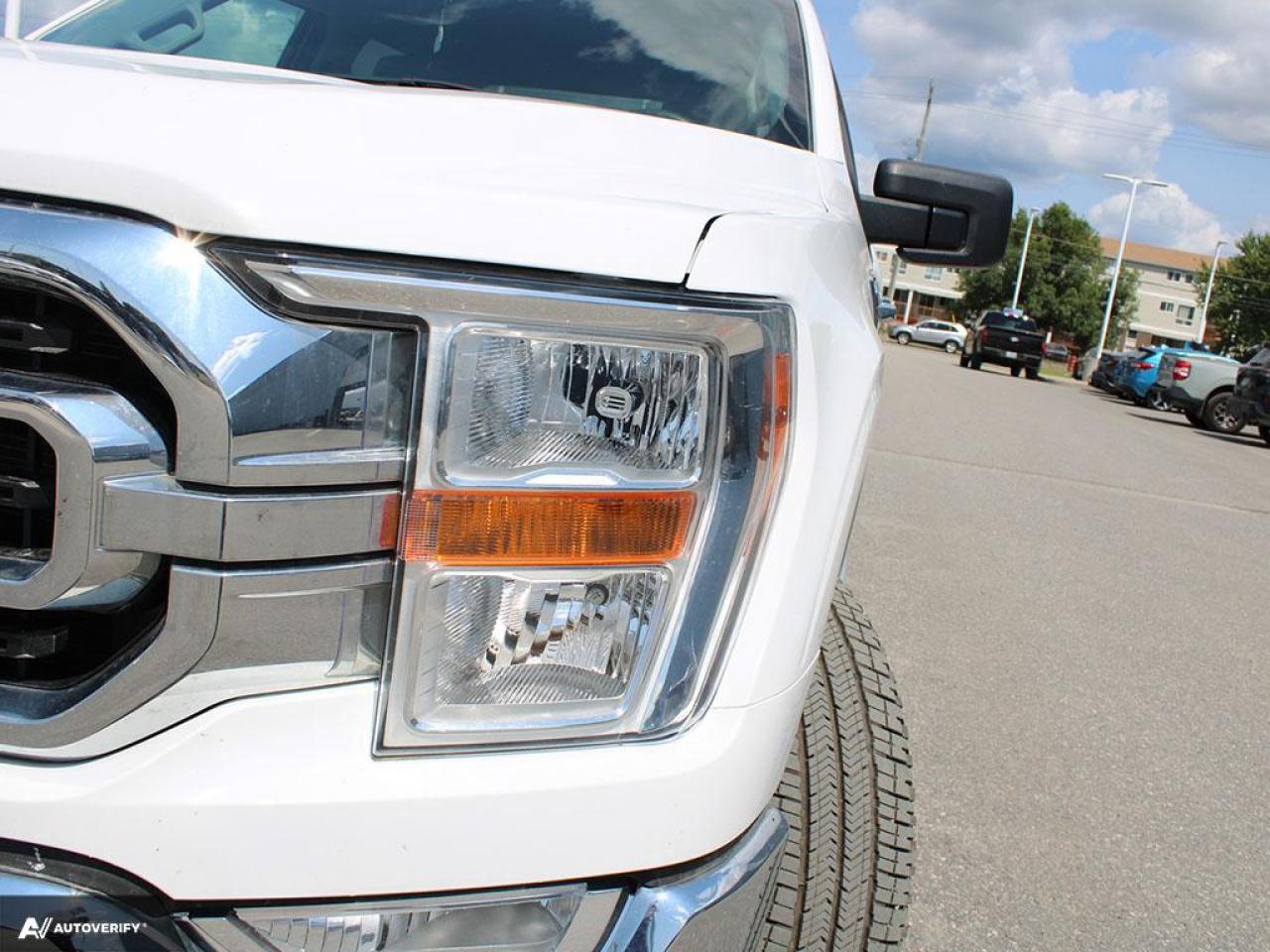 2022 Ford F-150 XLT Photo