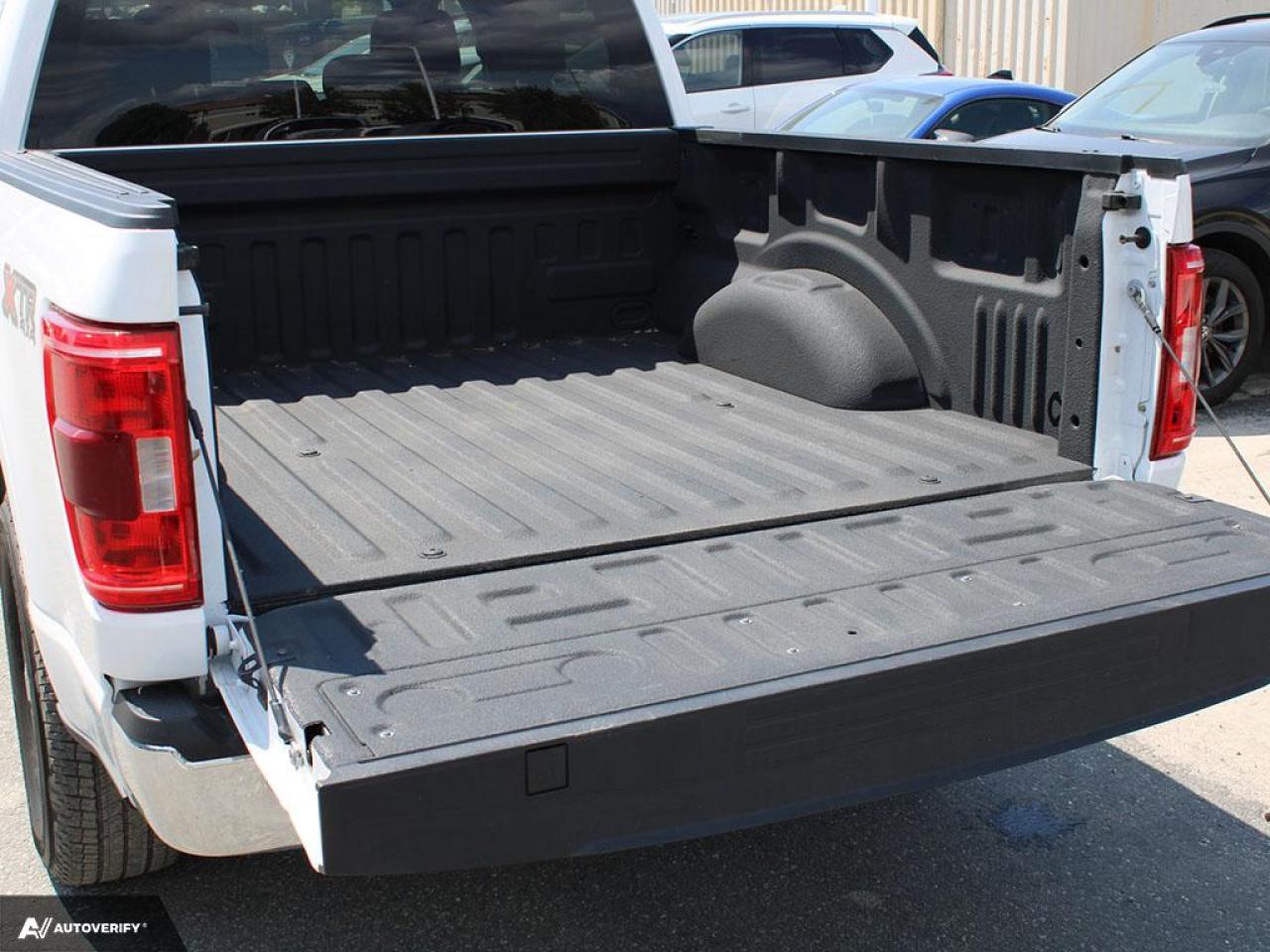 2022 Ford F-150 XLT Photo