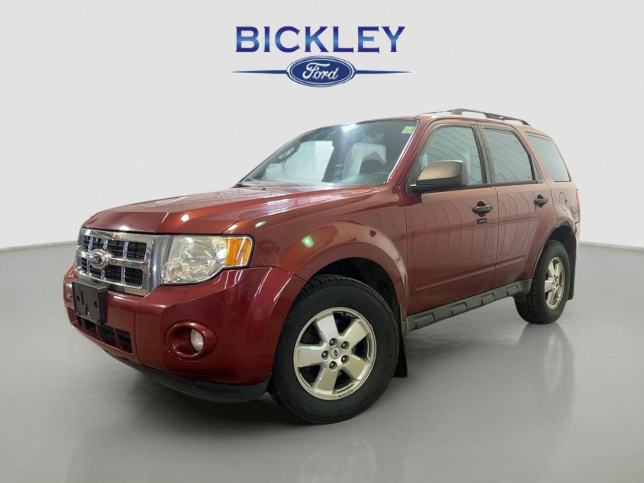 Used 2012 Ford Escape XLT for sale in Huntsville, ON