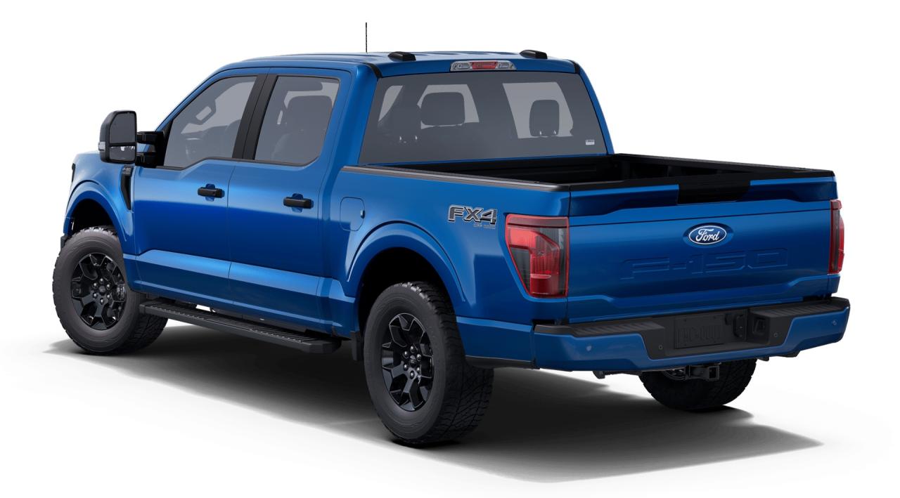 2025 Ford F-150 STX® Photo1