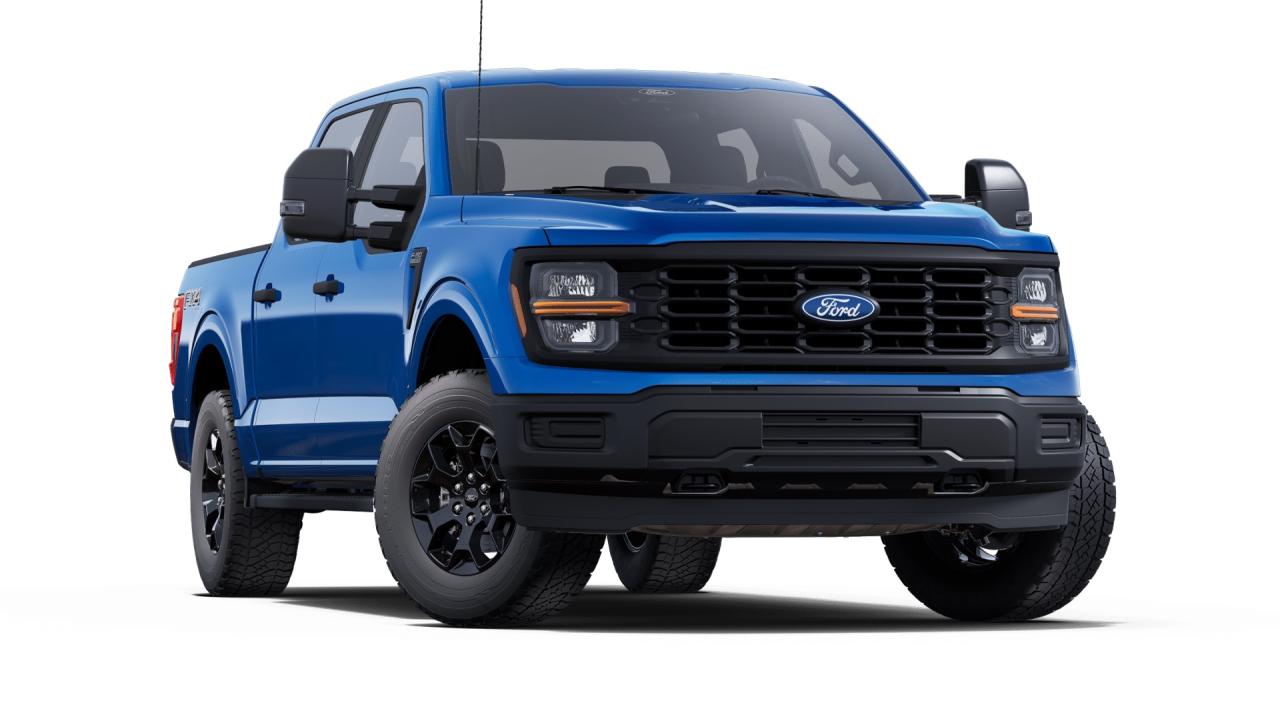 2025 Ford F-150 STX® Photo3