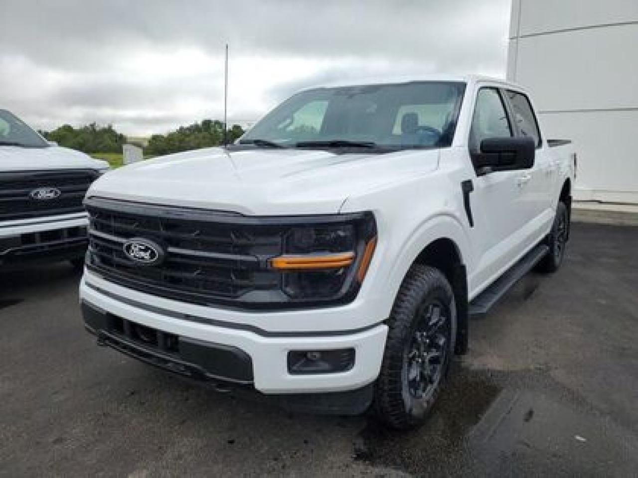New 2025 Ford F-150 XLT W/ FX4 OFF ROAD PACKAGE for sale in Moose Jaw, SK