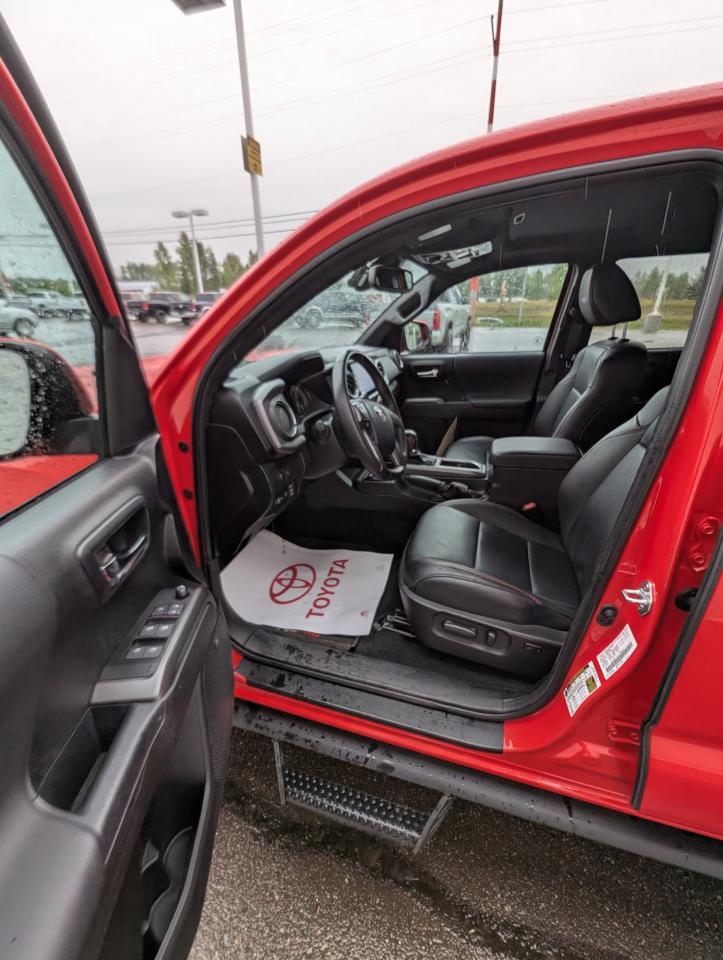 2023 Toyota Tacoma TRD Pro Photo