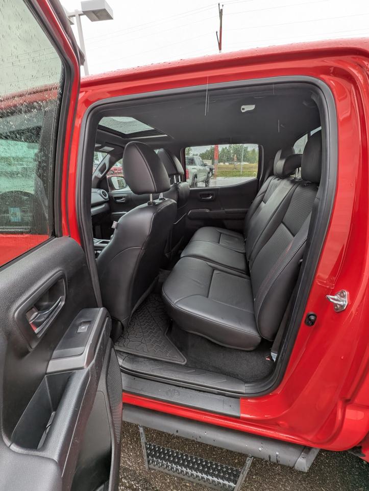 2023 Toyota Tacoma TRD Pro Photo