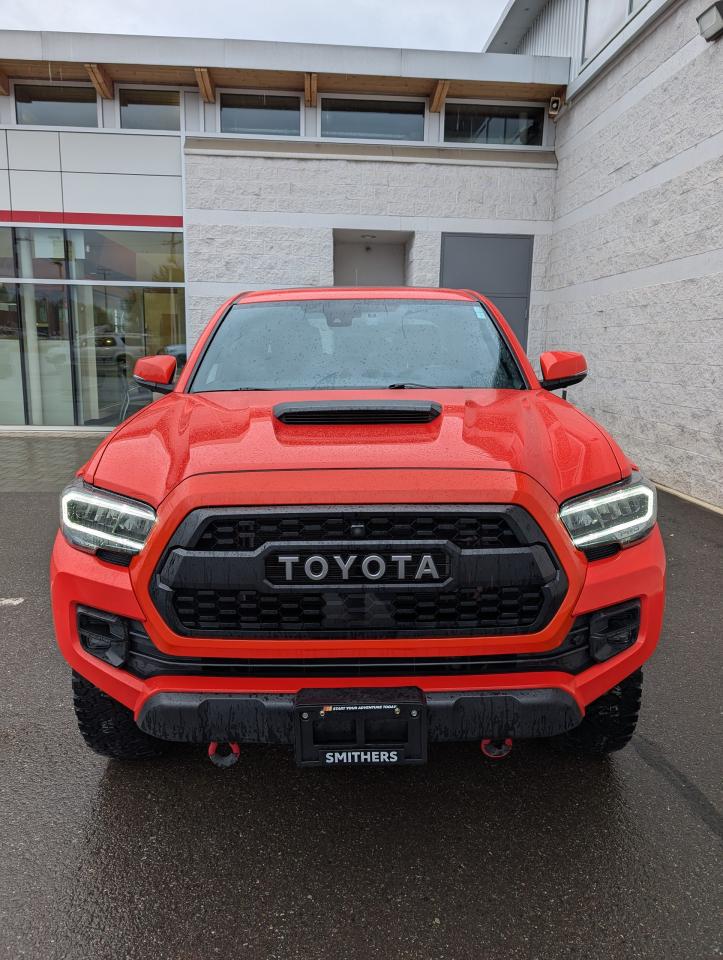 2023 Toyota Tacoma TRD Pro Photo1
