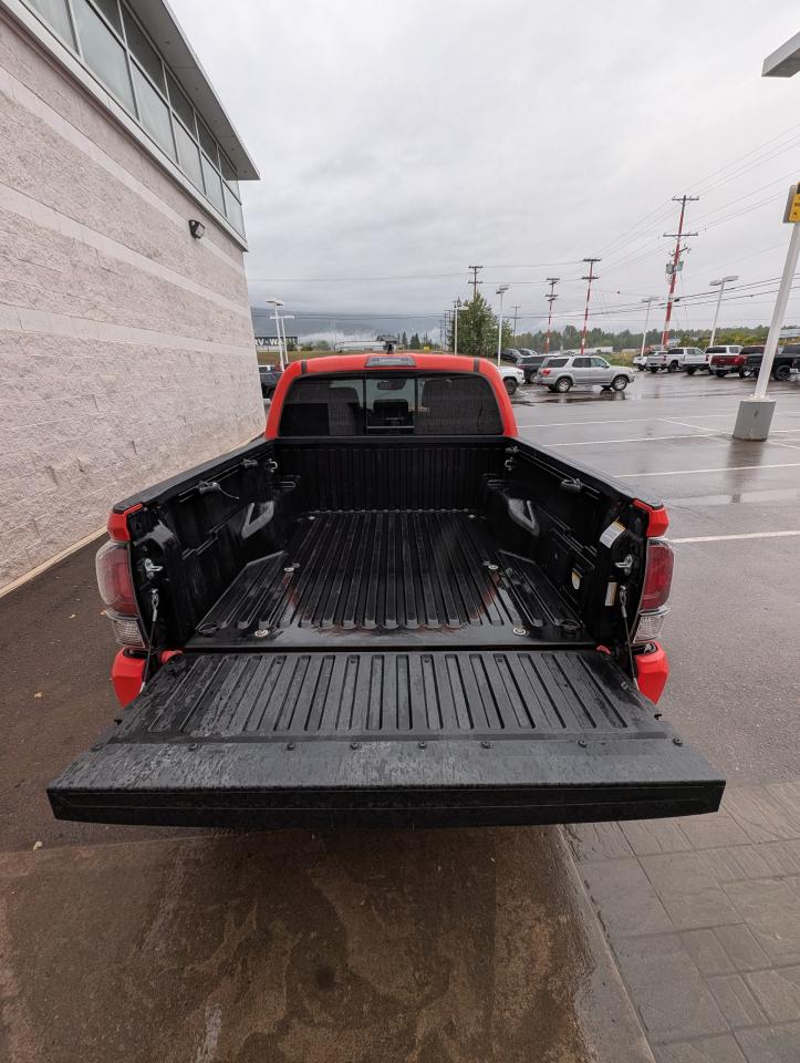 2023 Toyota Tacoma TRD Pro Photo