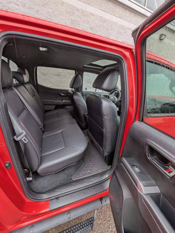 2023 Toyota Tacoma TRD Pro Photo