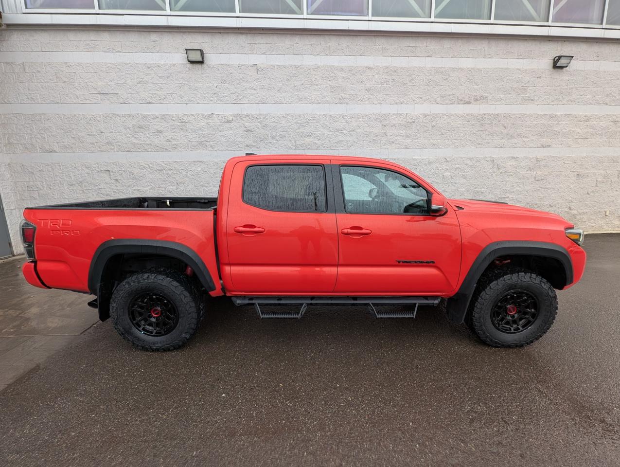 2023 Toyota Tacoma TRD Pro Photo