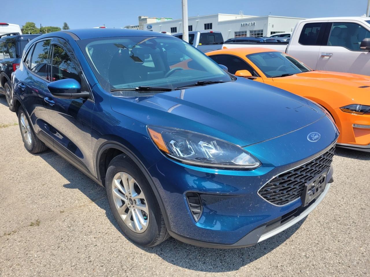 Used 2020 Ford Escape SE for sale in London, ON