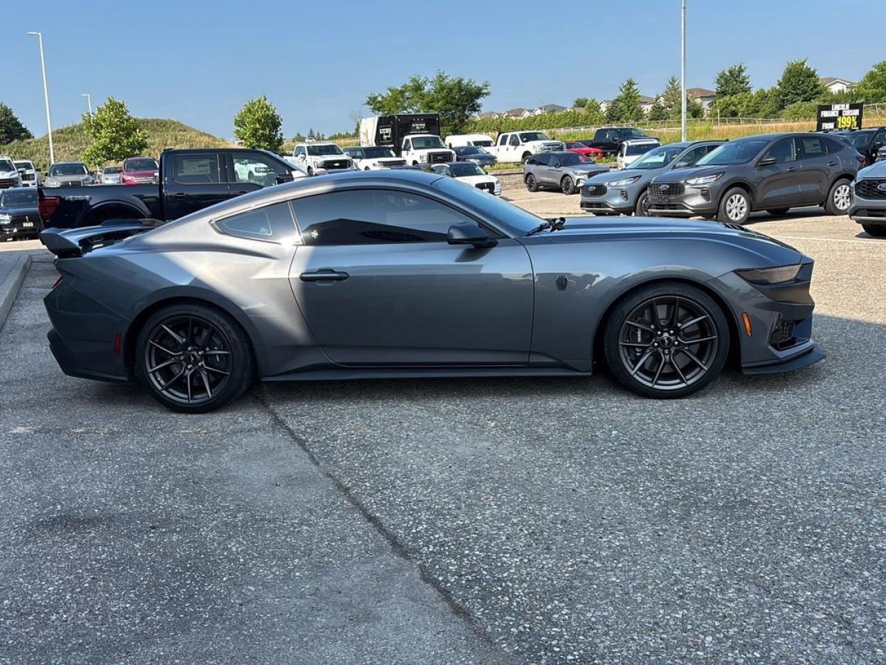 2024 Ford Mustang Dark Horse Photo