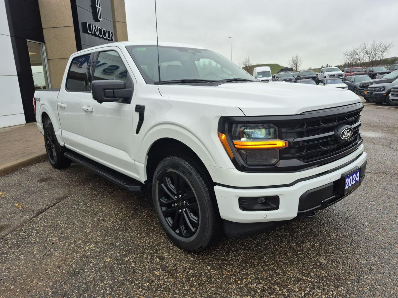 2024 Ford F-150 XLT 4WD SuperCrew 145"" WB Photo2