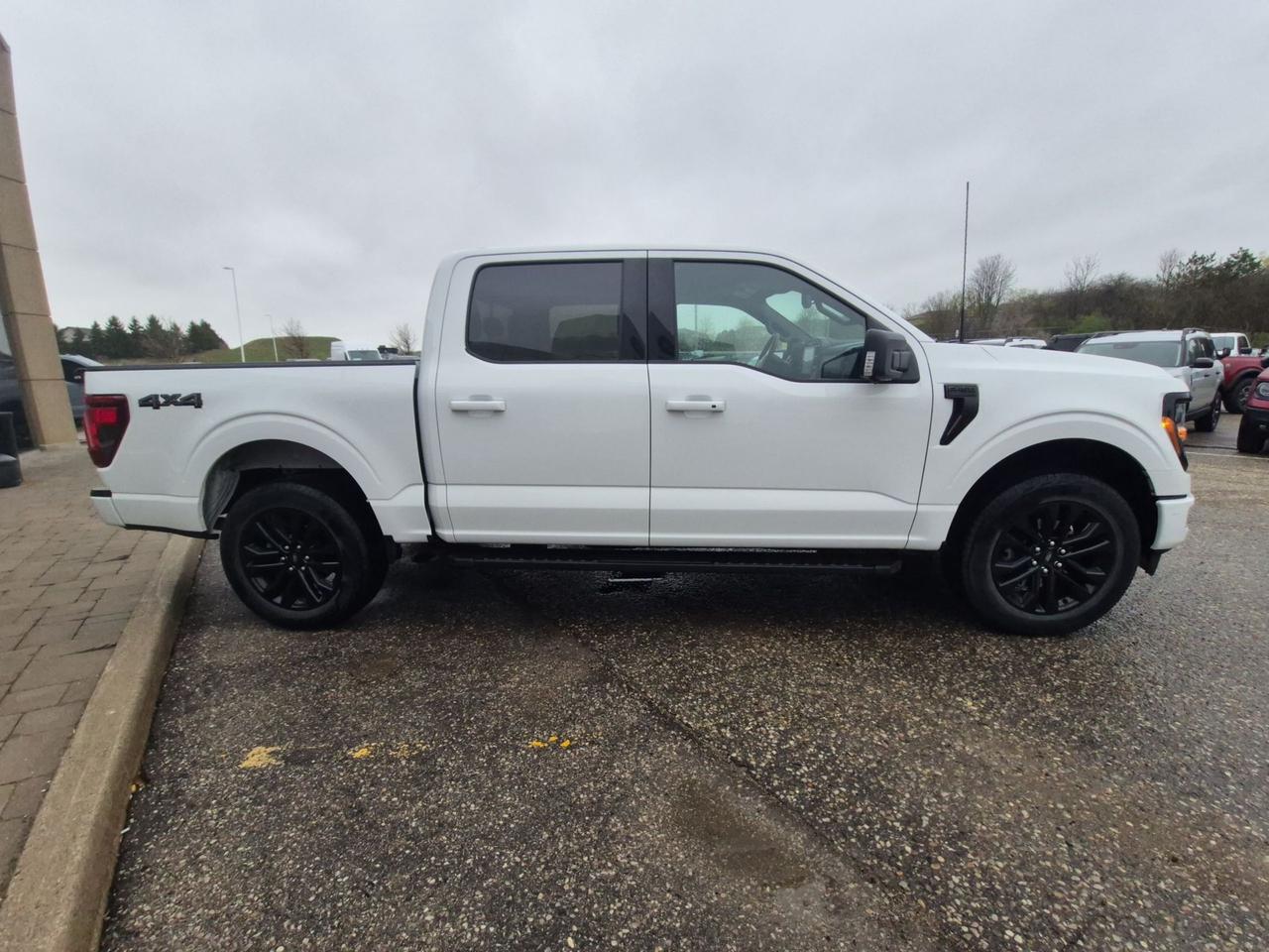 2024 Ford F-150 XLT 4WD SuperCrew 145"" WB Photo3
