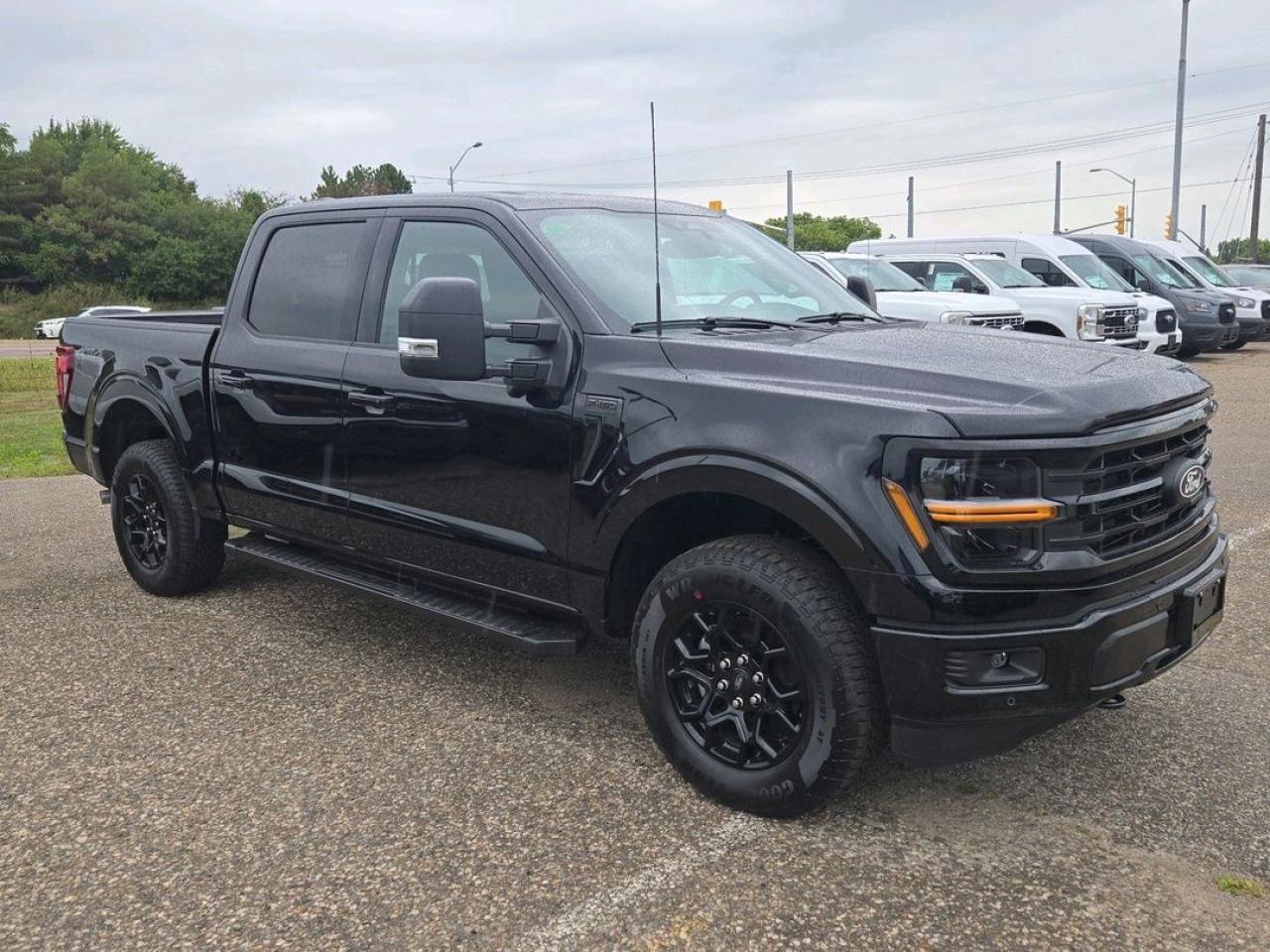 2025 Ford F-150 XLT Photo5