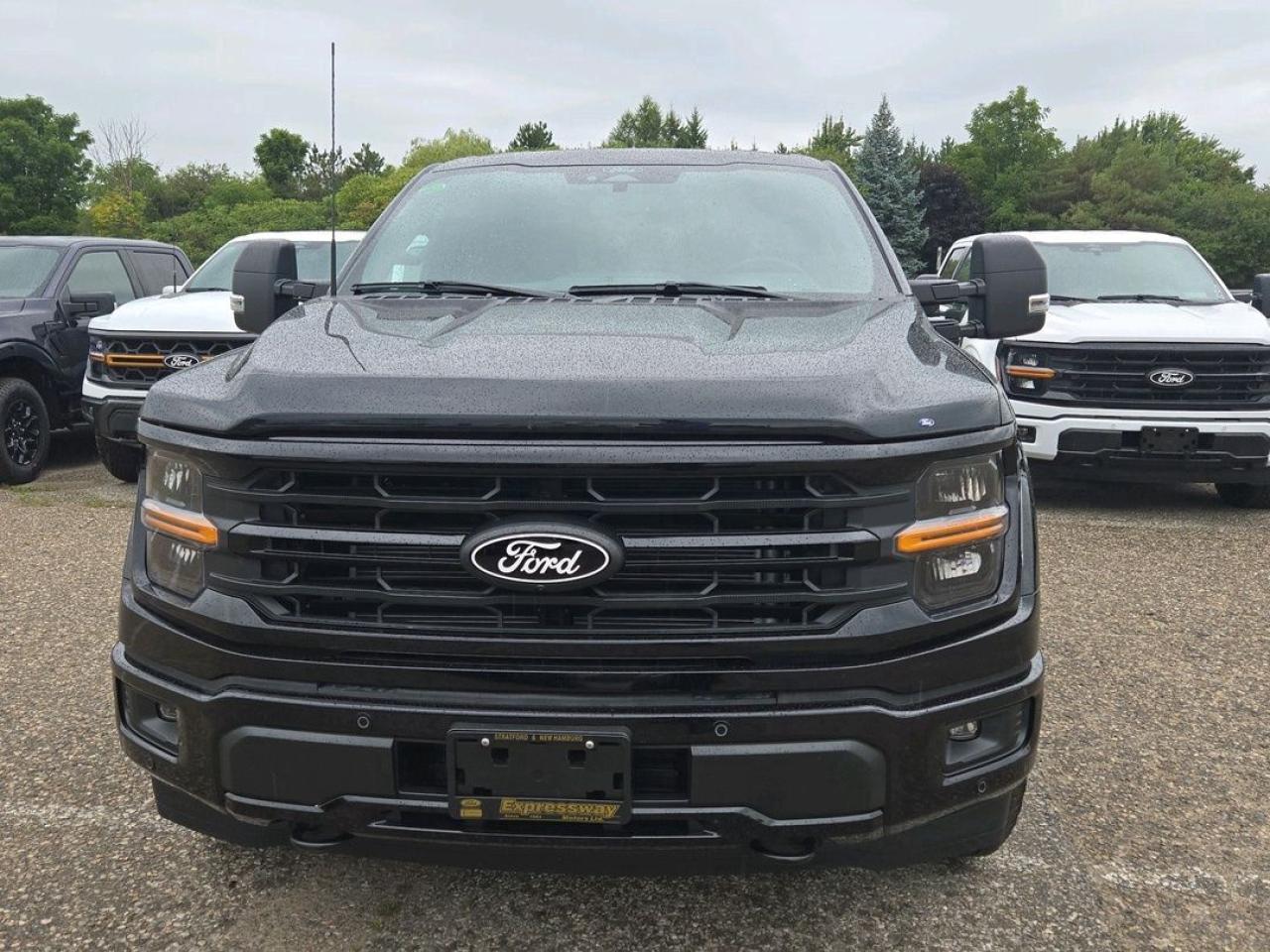 2025 Ford F-150 XLT Photo5