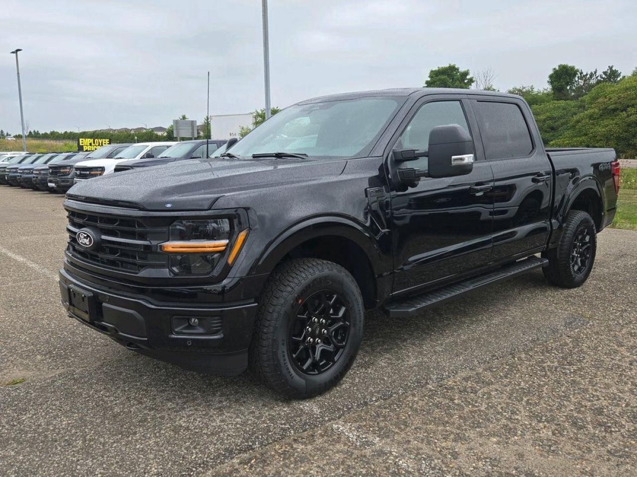 2025 Ford F-150 XLT Photo0