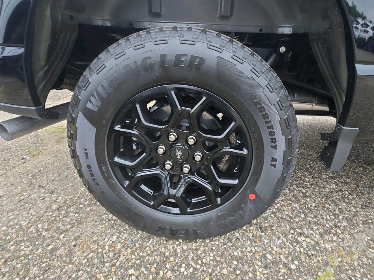 2025 Ford F-150 XLT Photo5