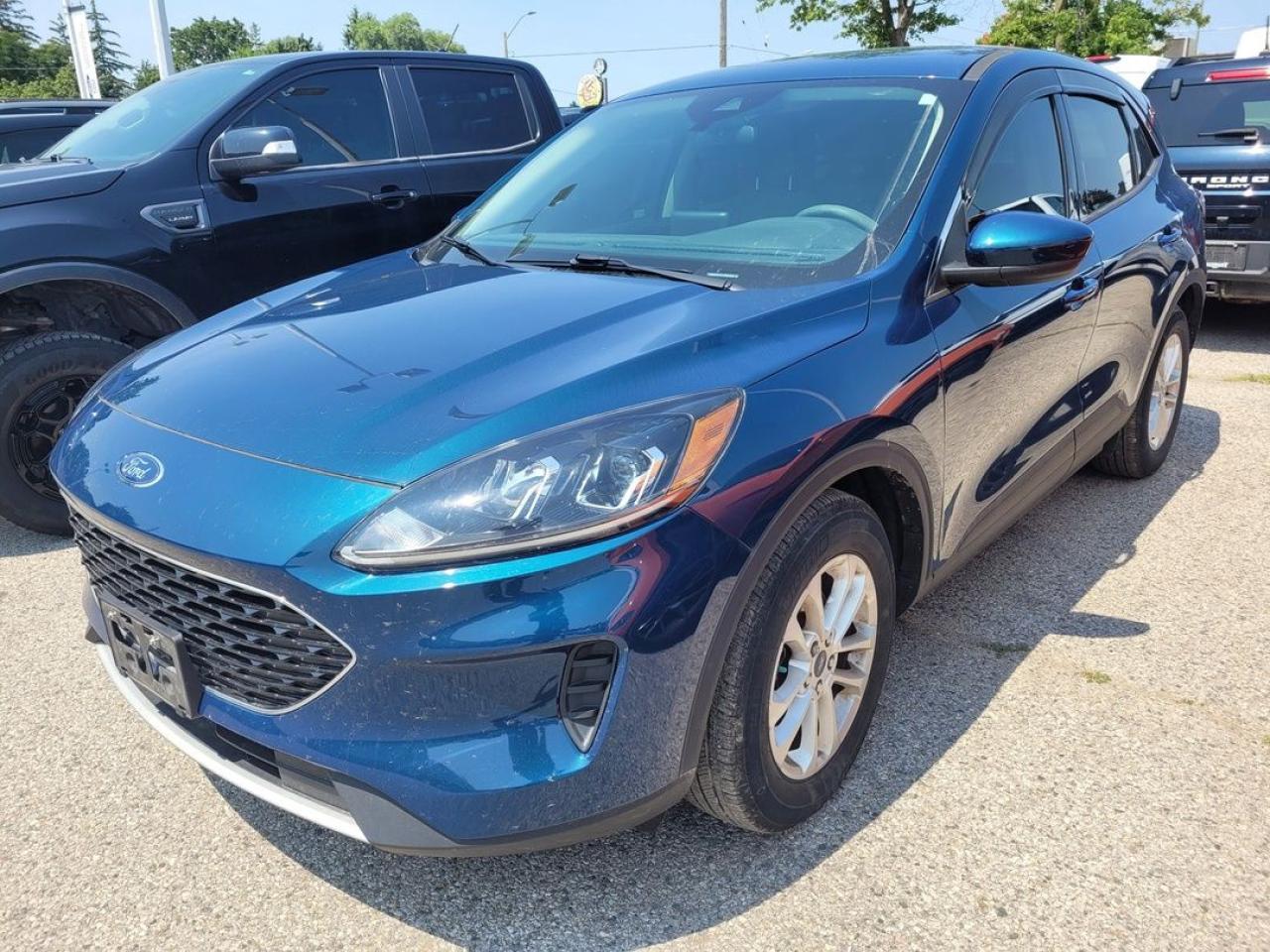 2020 Ford Escape SE Photo2
