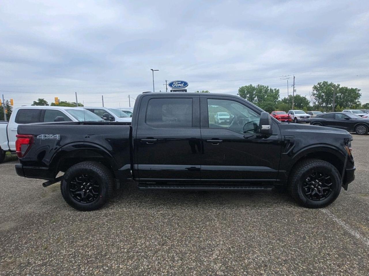 2025 Ford F-150 XLT Photo3