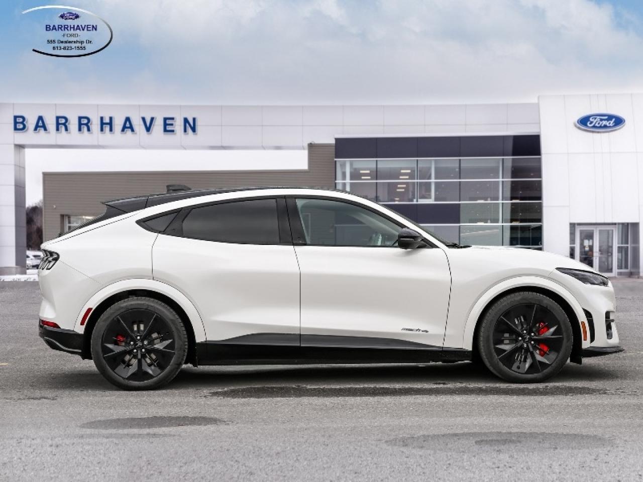 2025 Ford Mustang Mach-E GT Photo