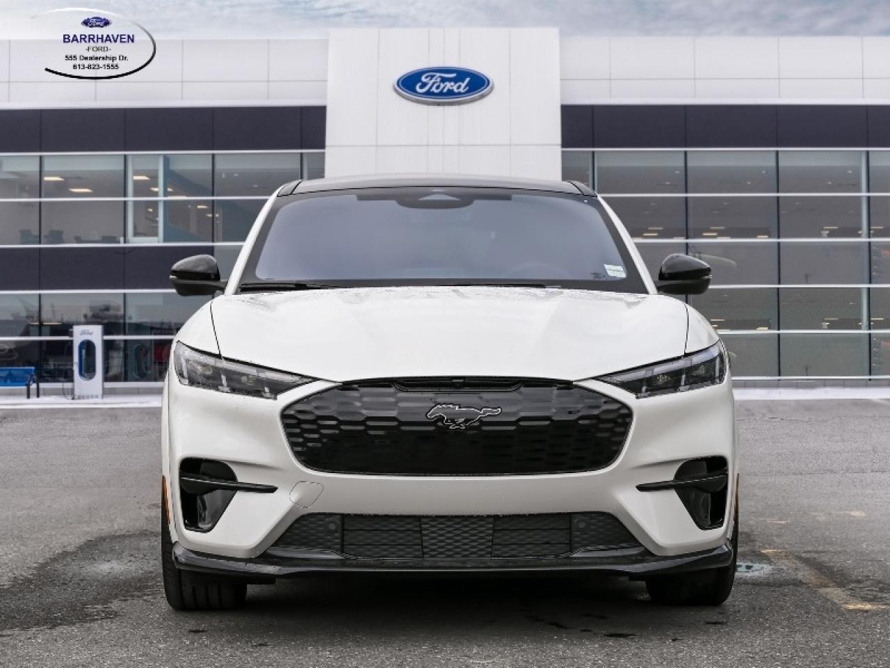 2025 Ford Mustang Mach-E GT Photo