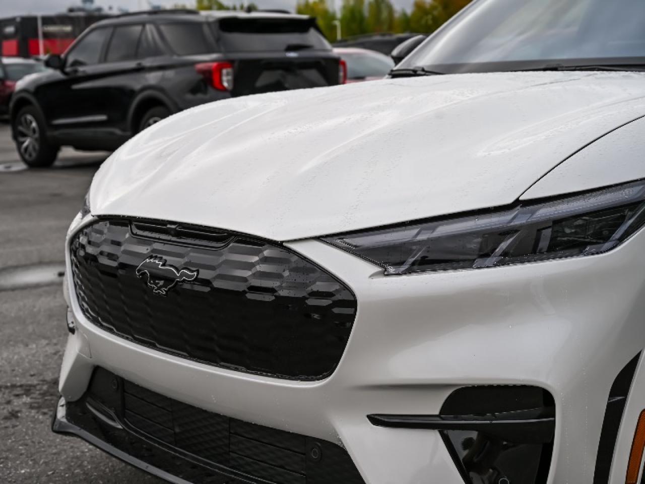 2025 Ford Mustang Mach-E GT Photo