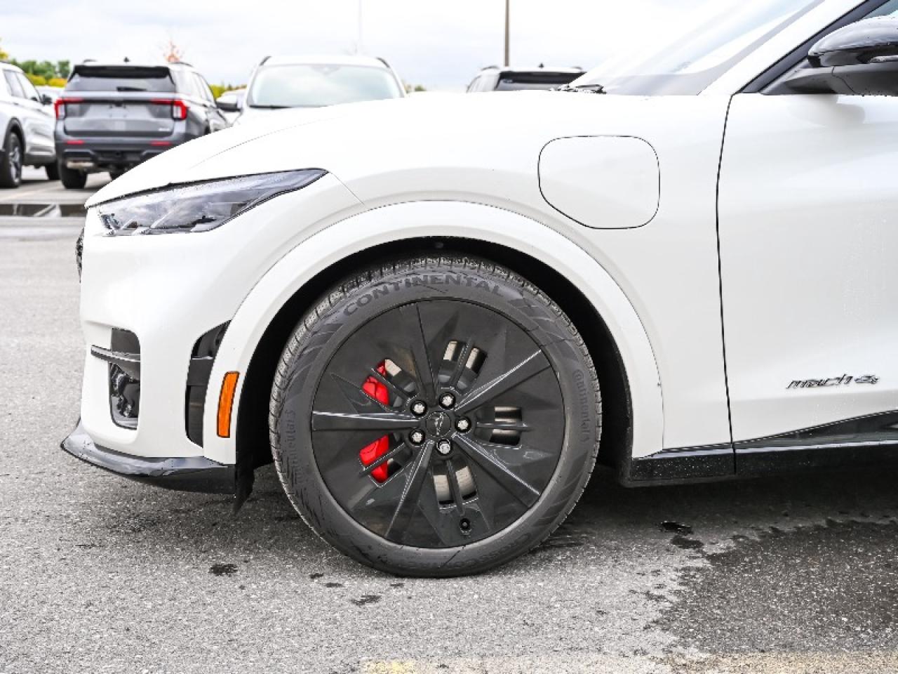 2025 Ford Mustang Mach-E GT Photo