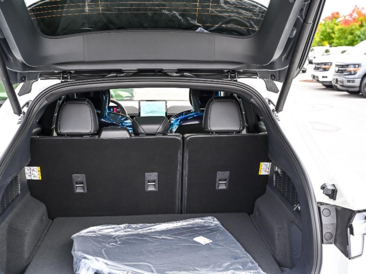 2025 Ford Mustang Mach-E GT Photo