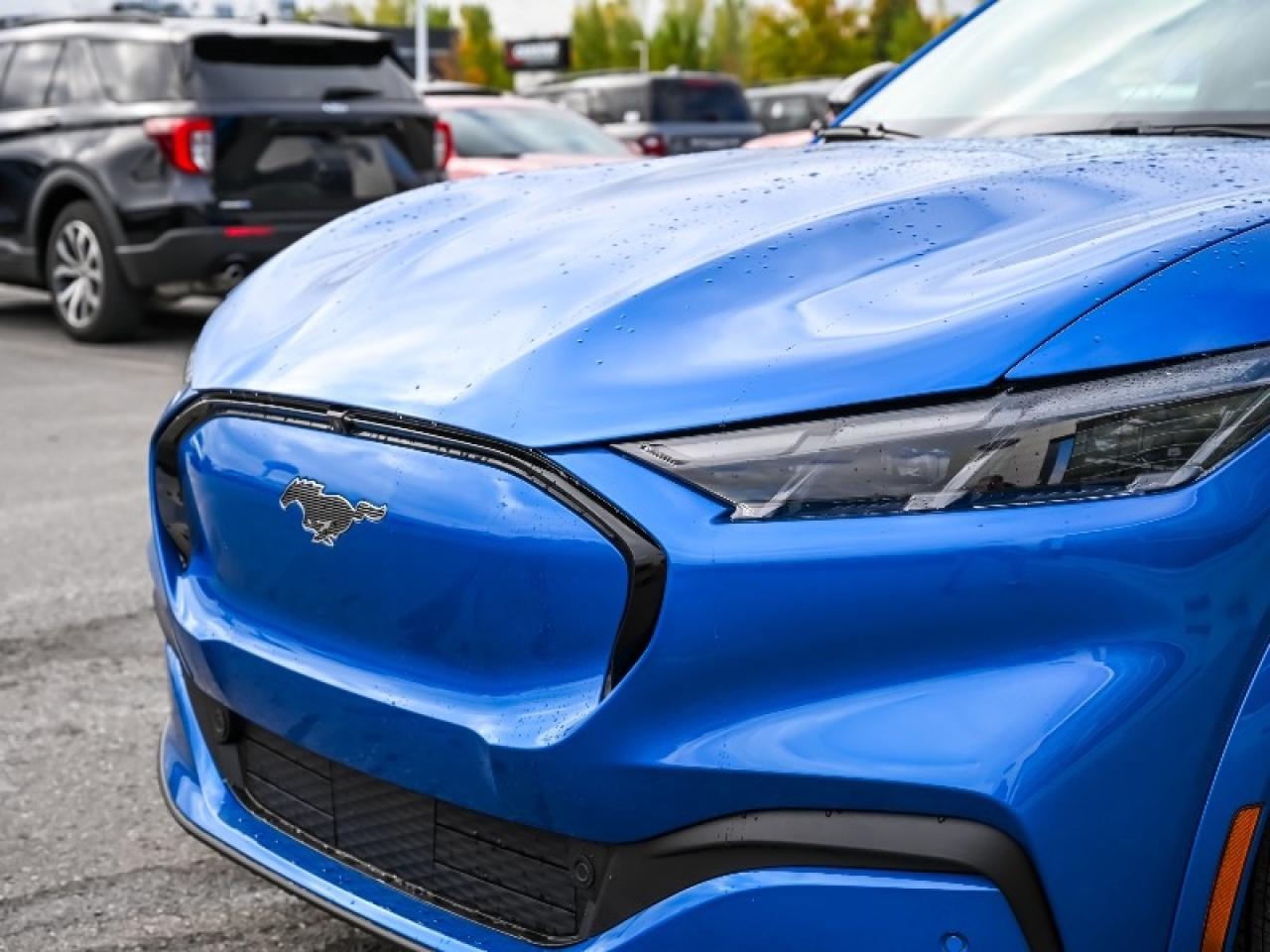 2025 Ford Mustang Mach-E Premium Photo