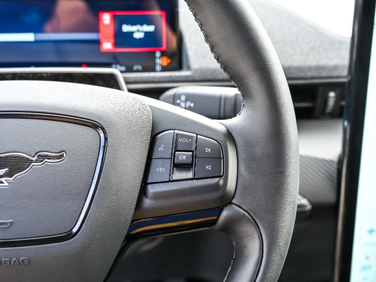 2025 Ford Mustang Mach-E Premium Photo