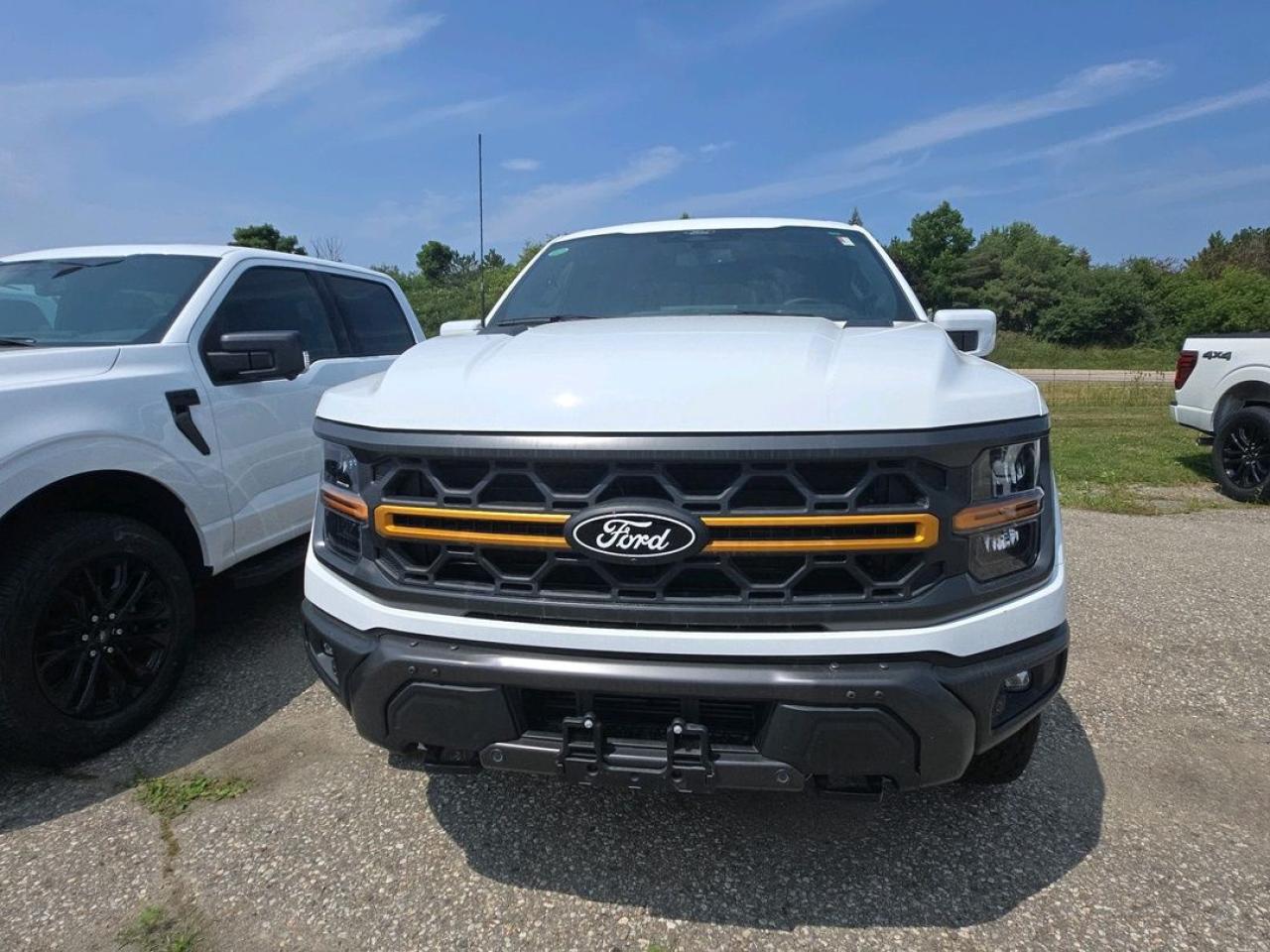 2025 Ford F-150 Tremor Photo1