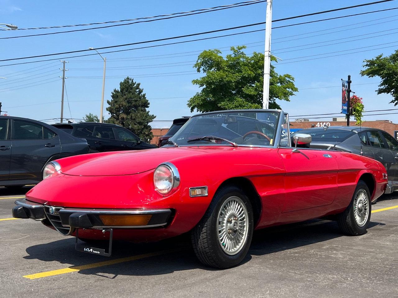 Used 1974 Alfa Romeo Spider Rare   Convertible for sale in North York, ON