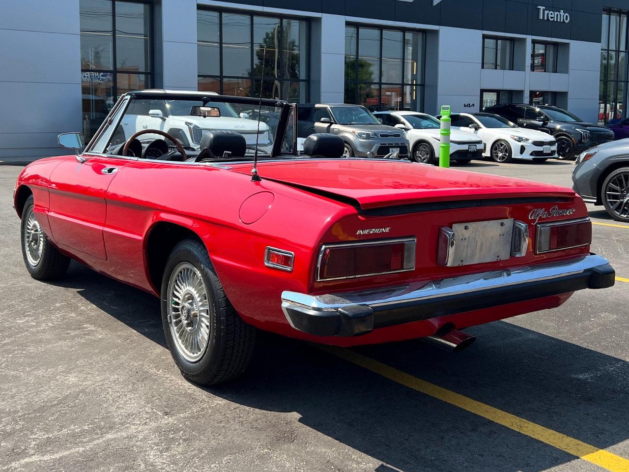1974 Alfa Romeo Spider Rare   Convertible Photo2