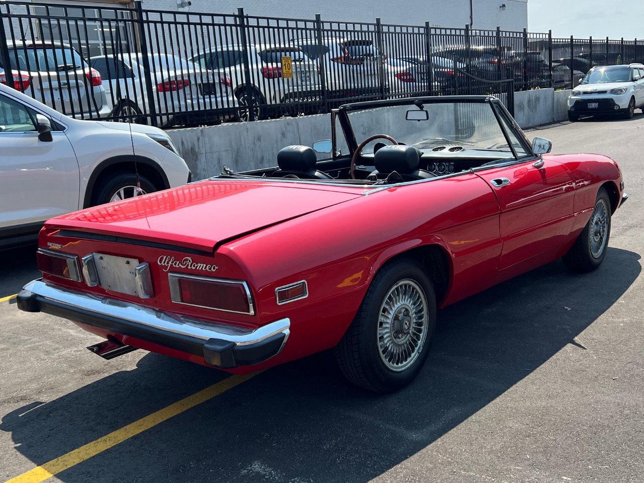 1974 Alfa Romeo Spider Rare   Convertible Photo