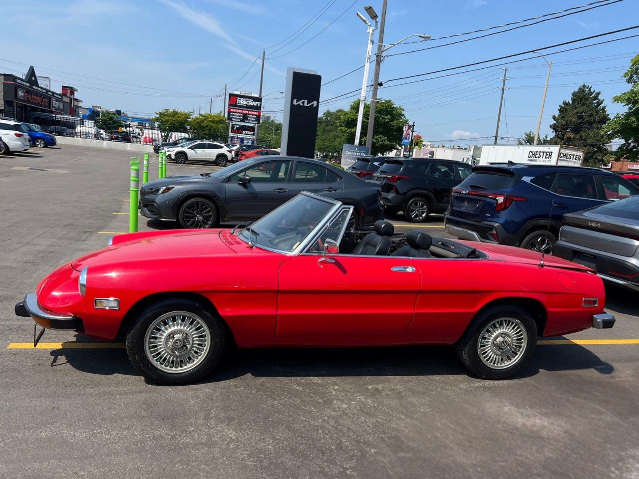 1974 Alfa Romeo Spider Rare   Convertible Photo