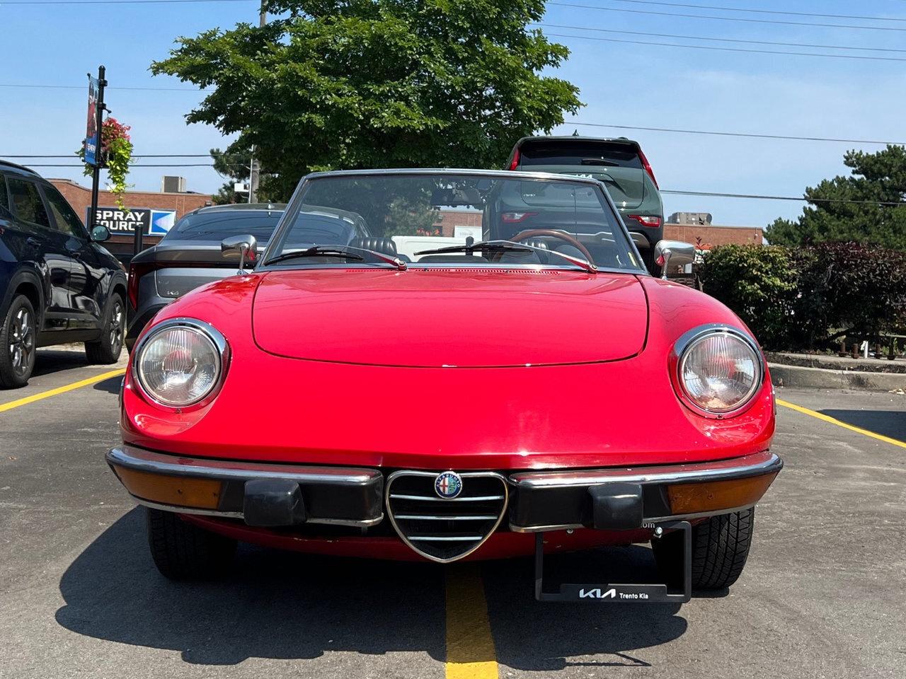 1974 Alfa Romeo Spider Rare   Convertible Photo