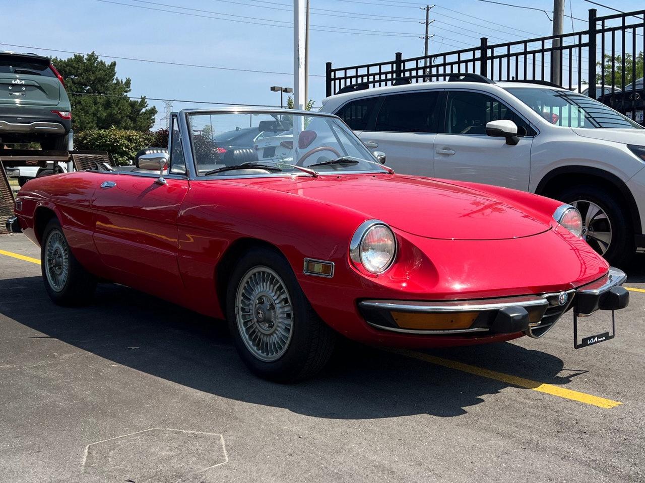 1974 Alfa Romeo Spider Rare   Convertible Photo