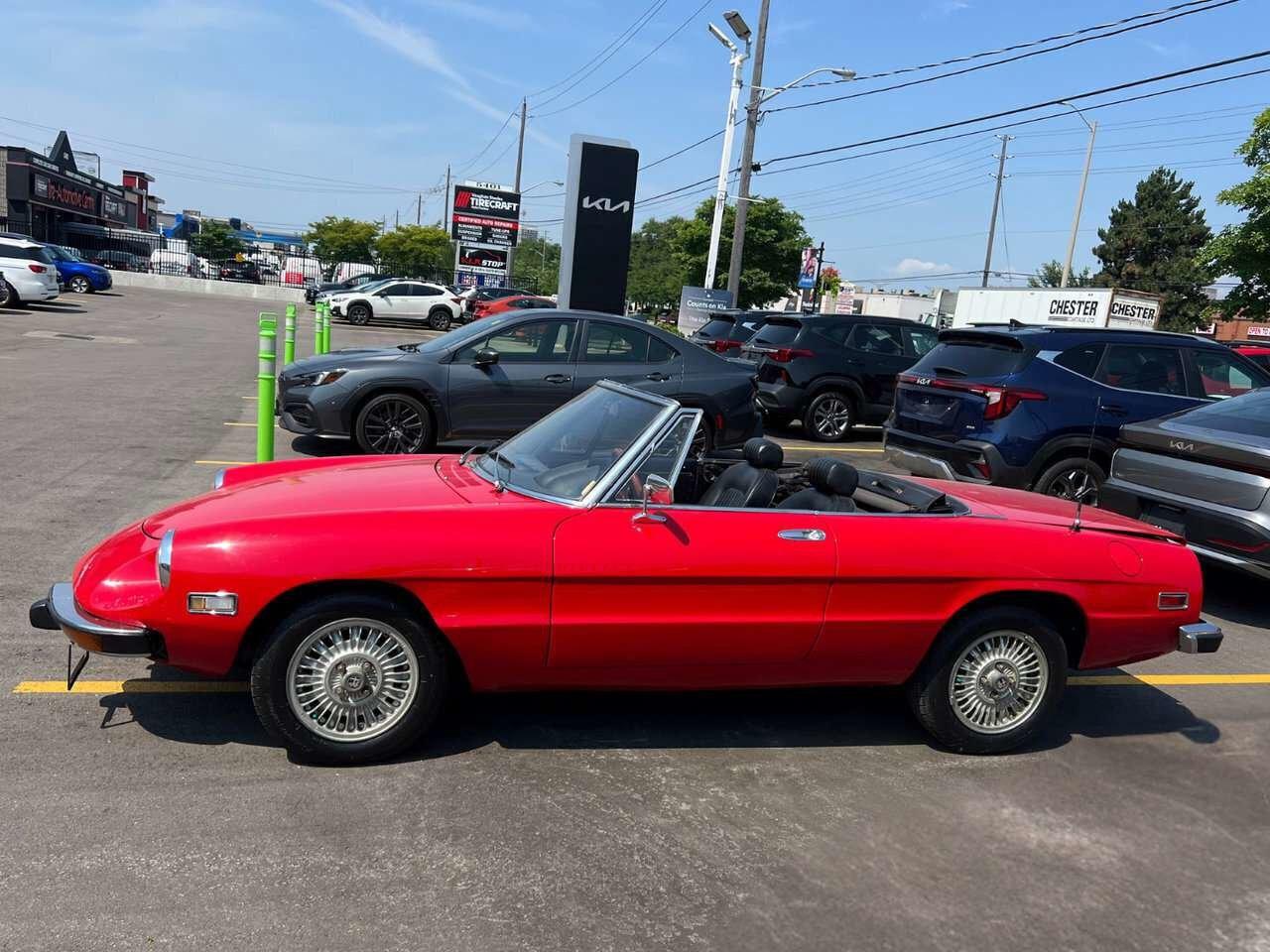 1974 Alfa Romeo Spider Rare   Convertible Photo1