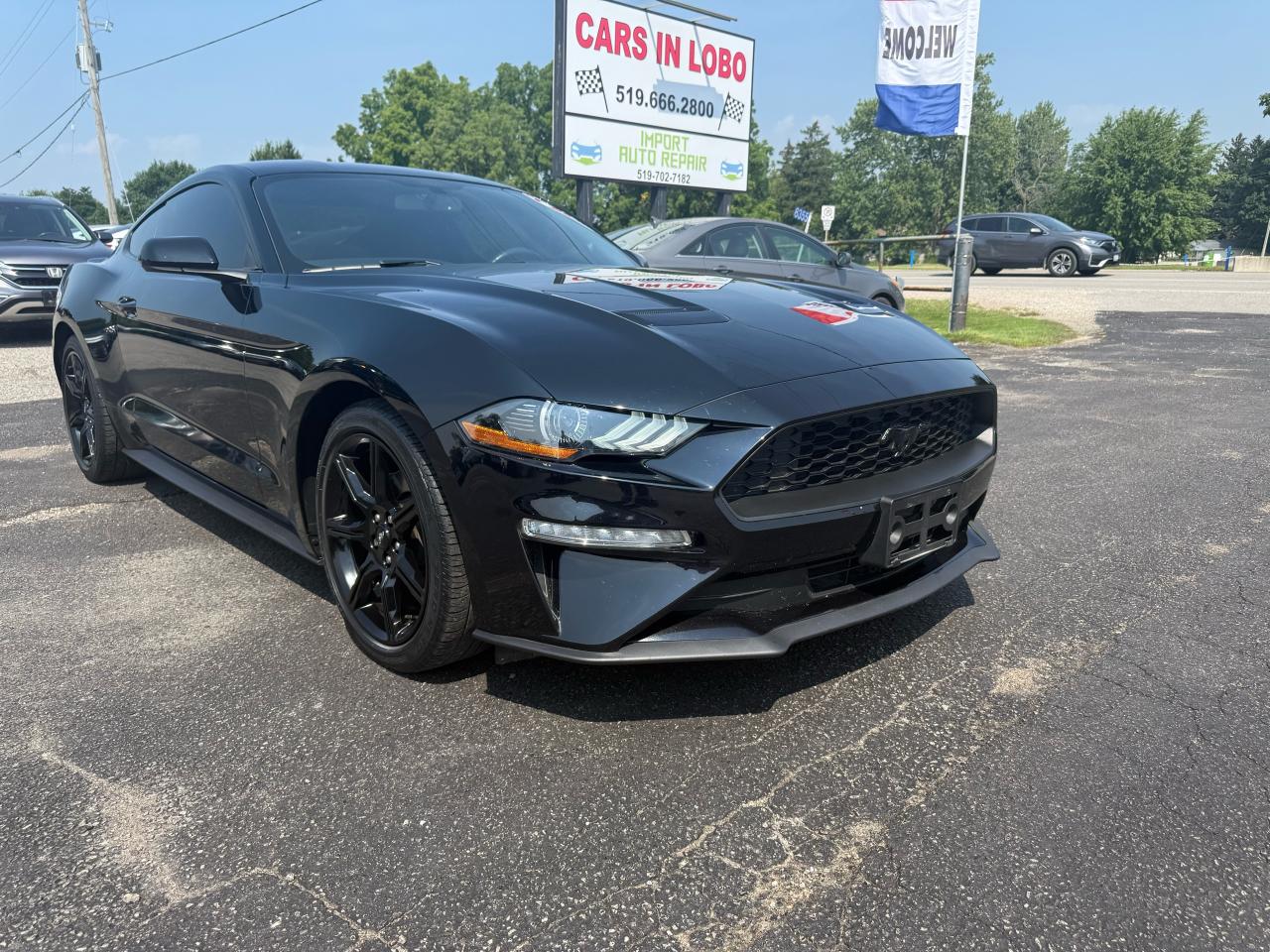 Used 2019 Ford Mustang EcoBoost for sale in Komoka, ON