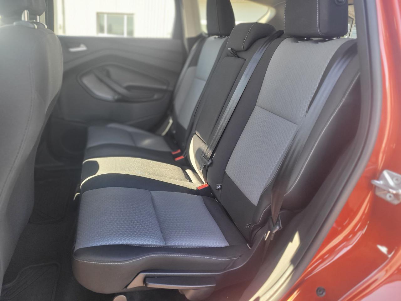 2019 Ford Escape SE SE AWD Photo5