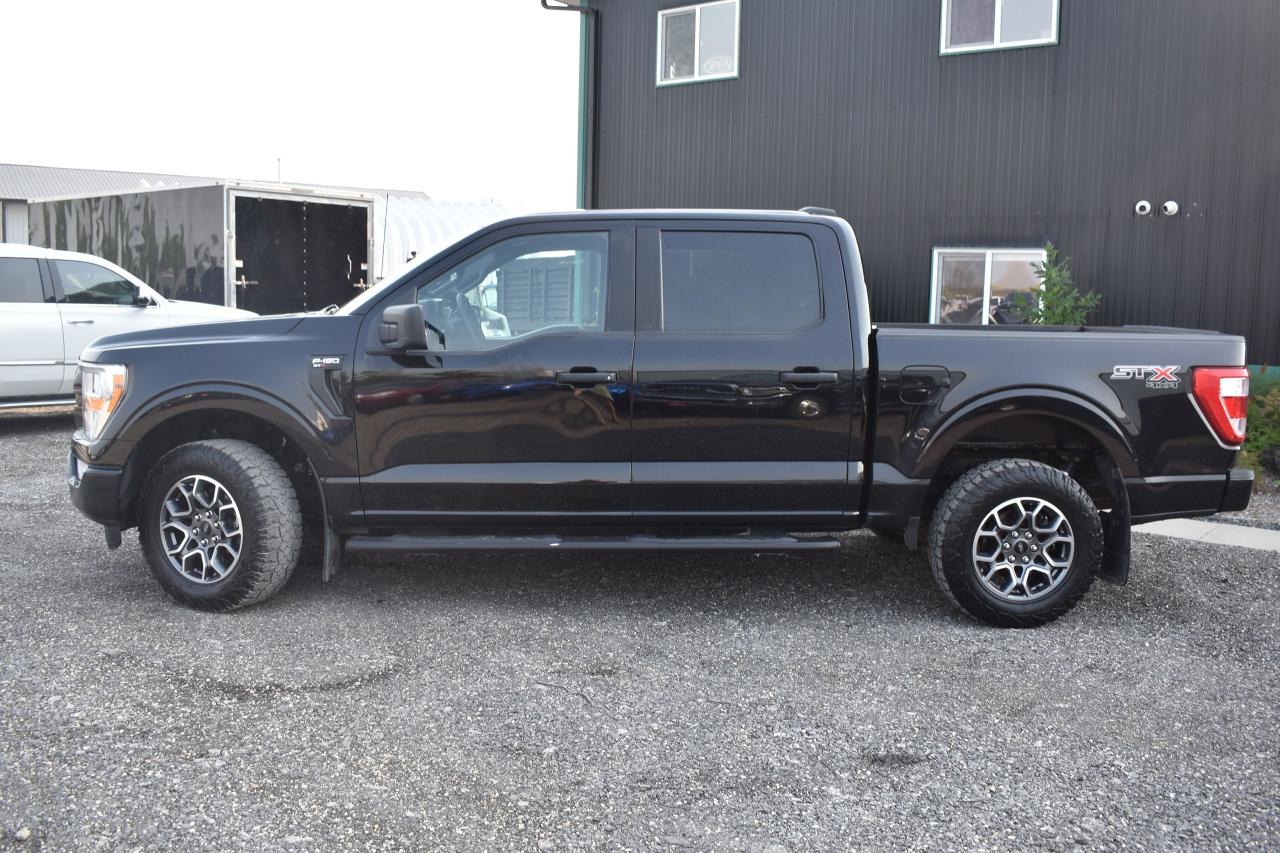 2021 Ford F-150 SXT - Photo #2