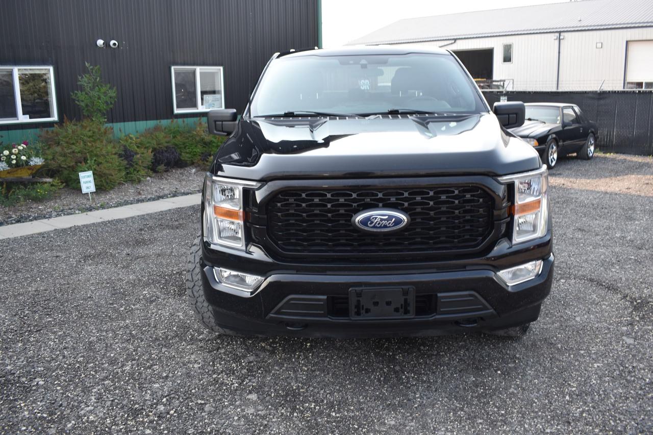 2021 Ford F-150 SXT - Photo #8