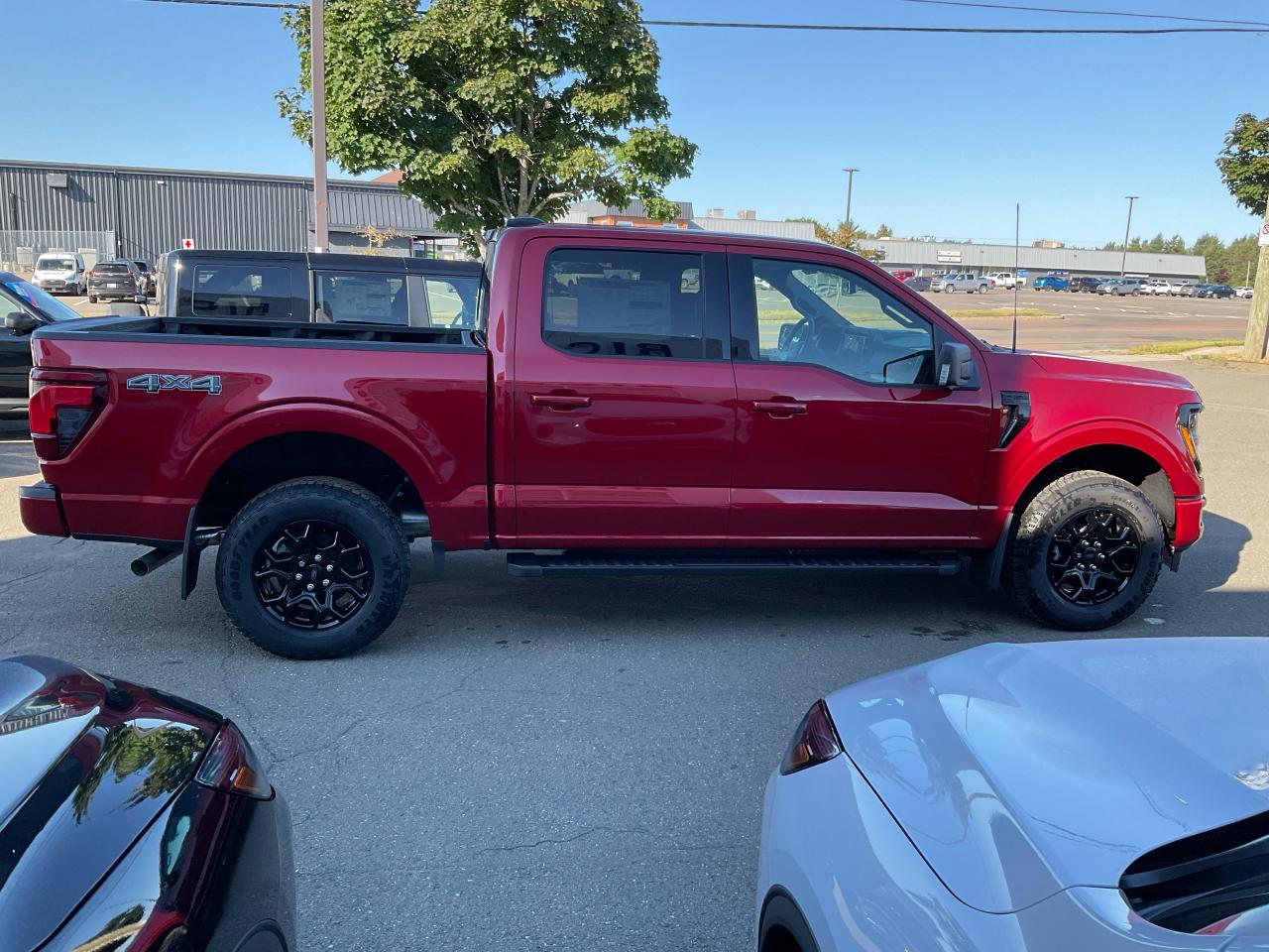 2025 Ford F-150 XLT Photo5