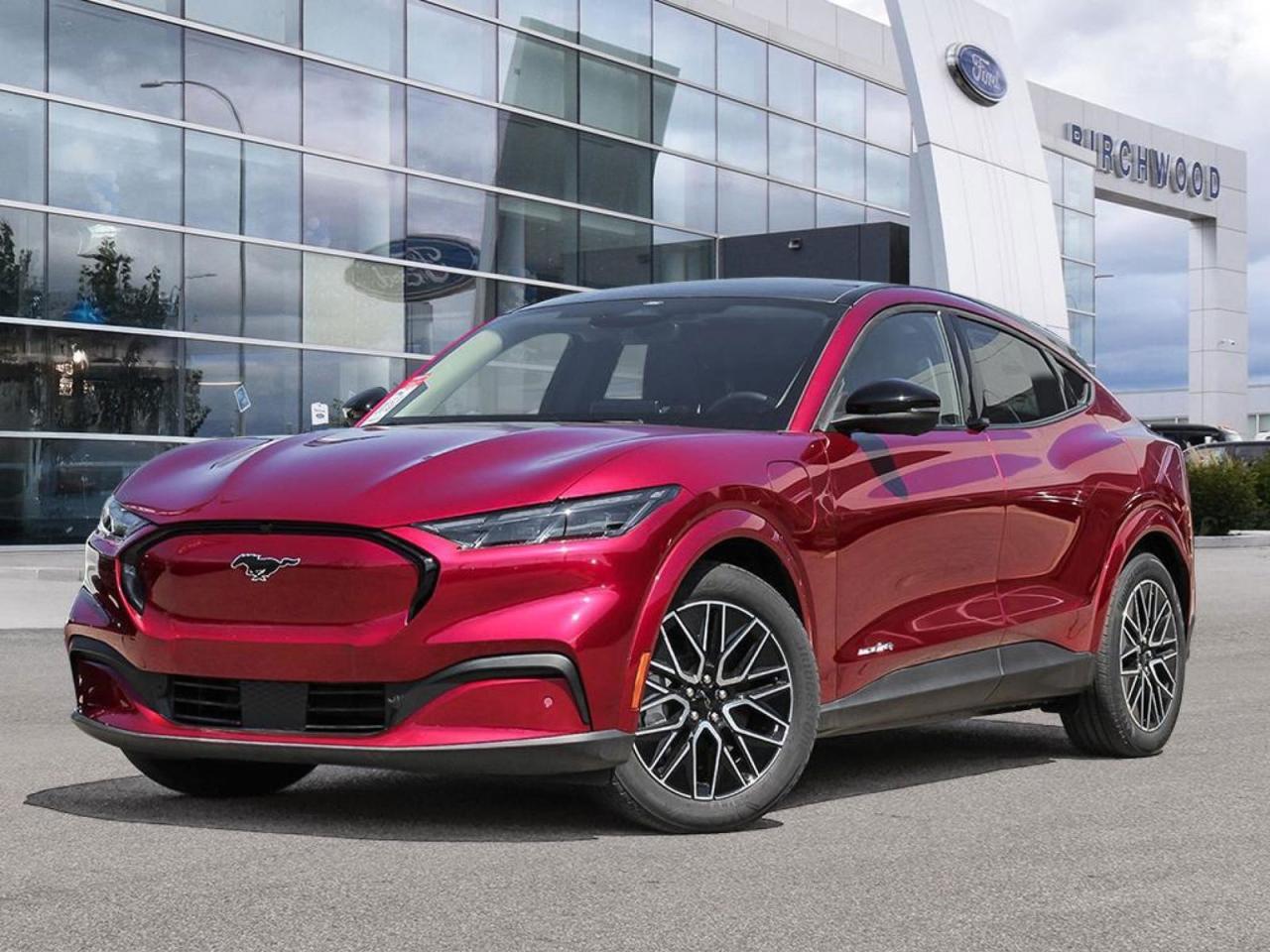 New 2025 Ford Mustang Mach-E Premium Factory Order - Arriving Soon - 300A | EXT Battery | Sport Appearance PKG for sale in Winnipeg, MB