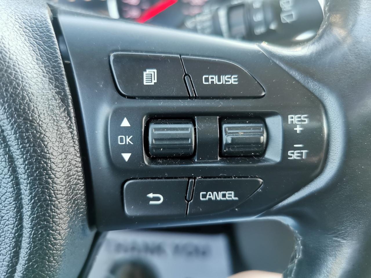 2018 Kia Sedona SX - Photo #34