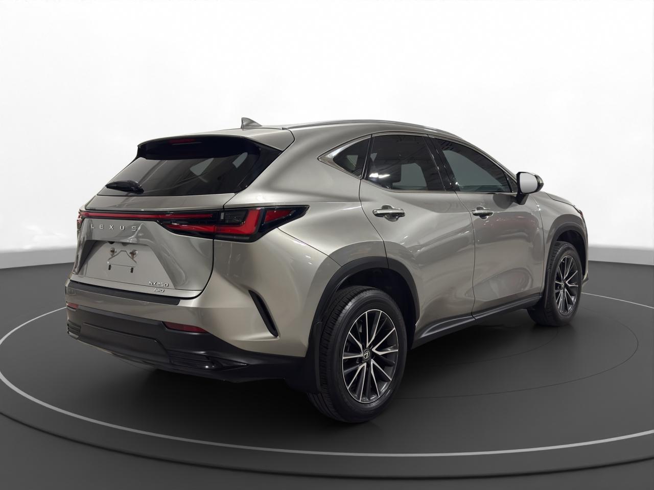 2022 Lexus NX NX 250 - Photo #6