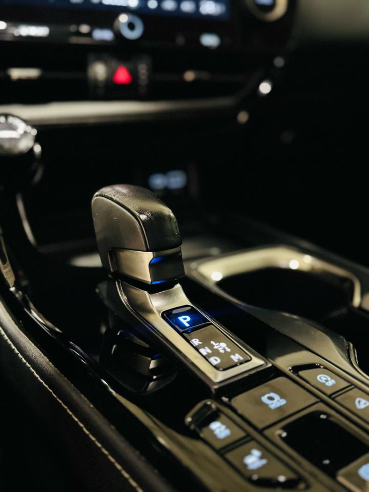 2022 Lexus NX NX 250 - Photo #13