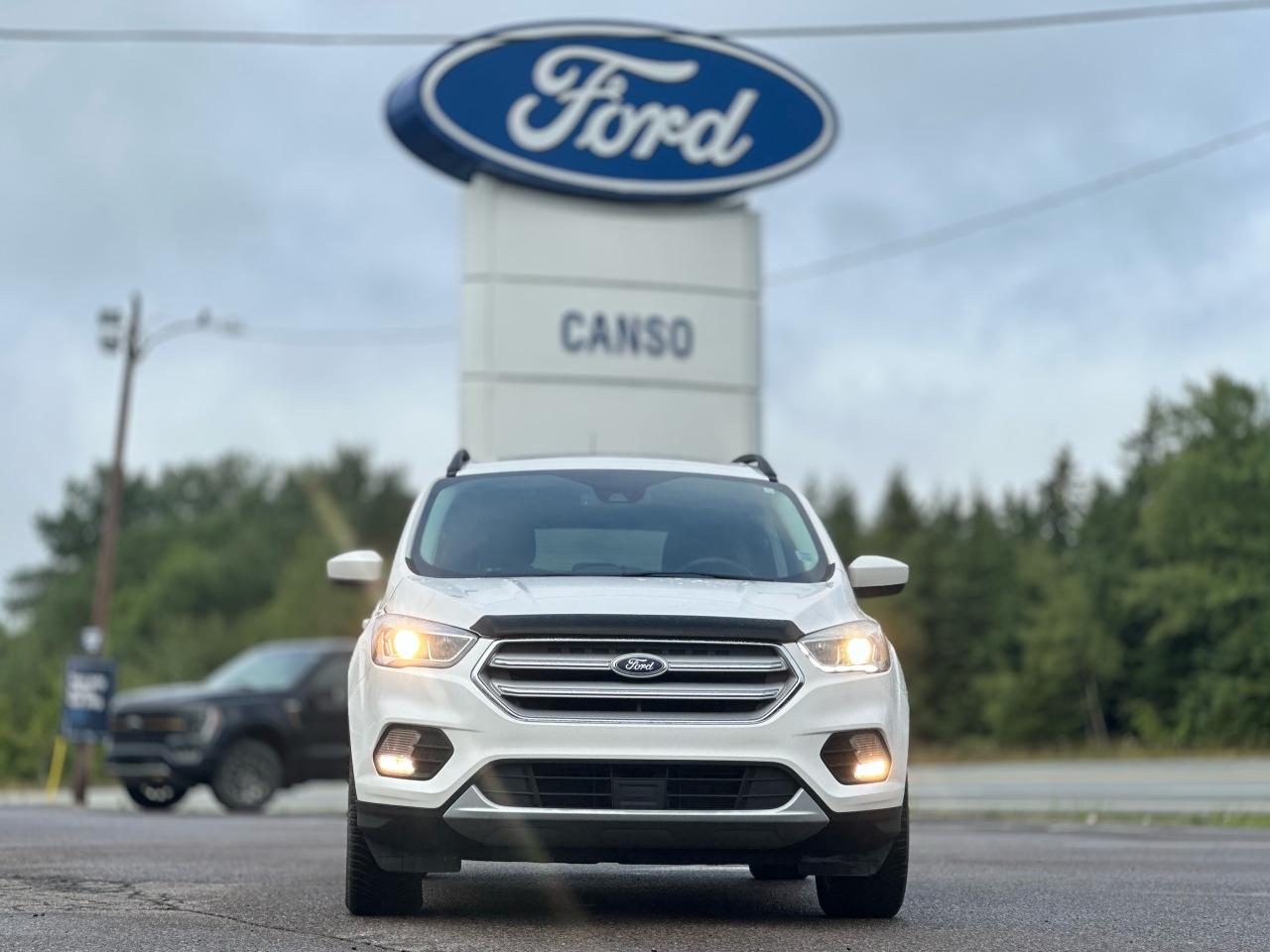 2019 Ford Escape SEL AWD Photo1